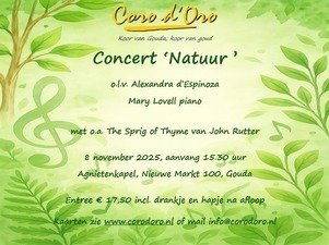poster-liggend-met-tekst